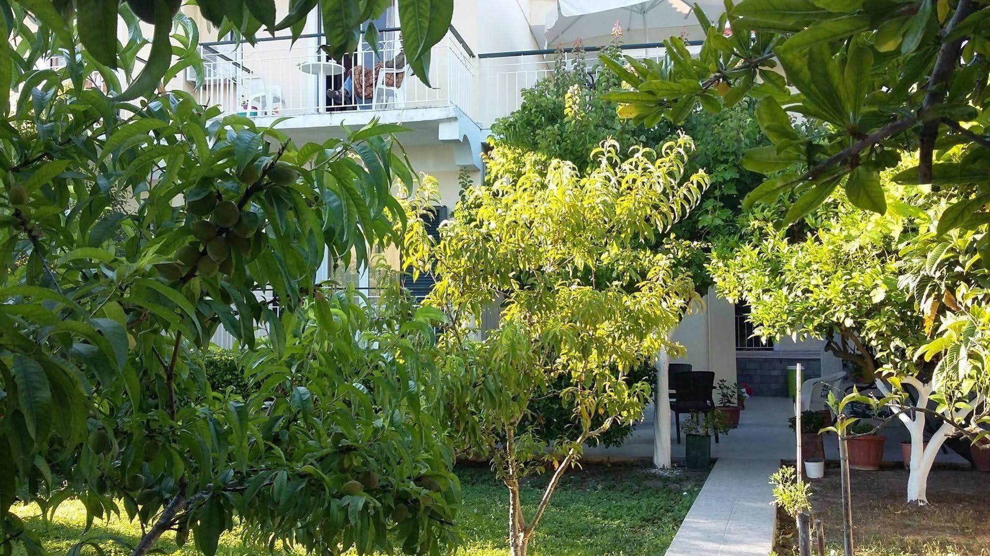 Elenas Garden Apartment Kavos Exterior photo
